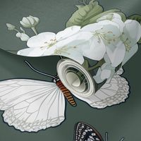 White Butterflies XL Green