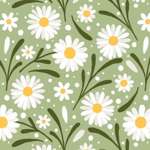 Daisies on a green 