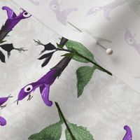 Cute Purple Salvia Flowers with Faces on Cream Texture