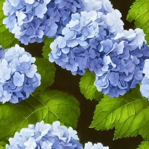 susie's backyard hydrangeas: blue hydrangea, hydrangea wallpaper, moody florals, vintage floral