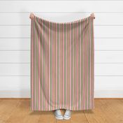 Thick Bold Preppy Candy Stripes 3 (red green pink white)