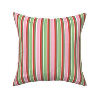 Thick Bold Preppy Candy Stripes 3 (red green pink white)