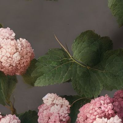 wren's backyard hydrangeas: pink hydrangea, hydrangea wallpaper, moody florals, vintage floral