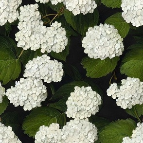 edith's backyard hydrangeas: white hydrangea, hydrangea wallpaper, moody florals, vintage floral