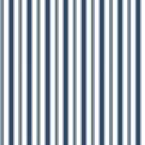 French Country Wide Stripes Small Scale 9''
