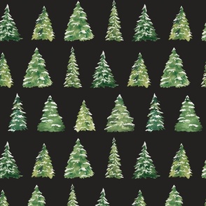 Christmas Trees on Black 12 inch