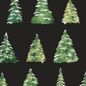 Christmas Trees on Black 24 inch