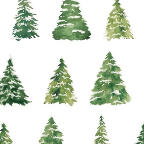 Watercolor Christmas Trees on White 24 inch