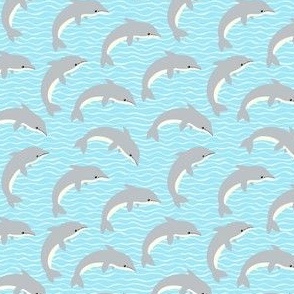 dolphin-ltblue