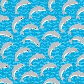 dolphin-medblue