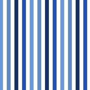 MINI Pickleball fabric - blue stripes fabric_ blue stripe design 4in