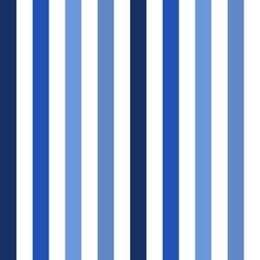 SMALL Pickleball fabric - blue stripes fabric_ blue stripe design 6in