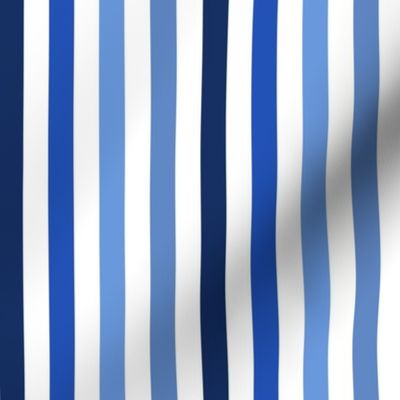 MEDIUM Pickleball fabric - blue stripes fabric_ blue stripe design 8in