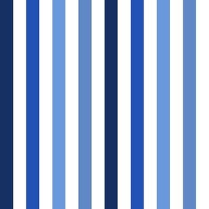 MEDIUM Pickleball fabric - blue stripes fabric_ blue stripe design 8in