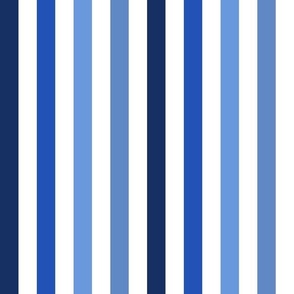 XLARGE Pickleball fabric - blue stripes fabric_ blue stripe design 12in