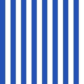 SMALL Pickleball fabric - bright blue and white stripes_ cabana stripes fabric 6in