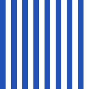 MEDIUM Pickleball fabric - bright blue and white stripes_ cabana stripes fabric 8in