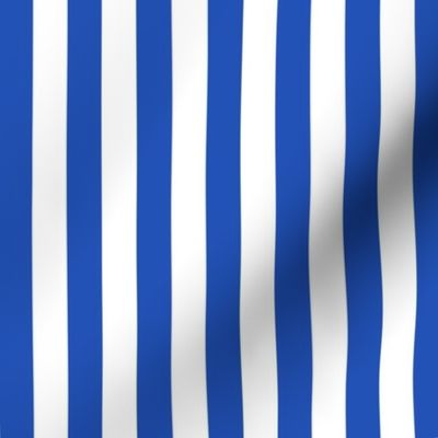 LARGE Pickleball fabric - bright blue and white stripes_ cabana stripes fabric 10in