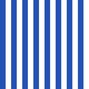 XLARGE Pickleball fabric - bright blue and white stripes_ cabana stripes fabric 12in