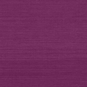 Solid Faux Grasscloth in Plum