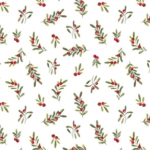 Vintage Watercolor Holly and Mistletoe on White 12 inch
