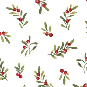 Vintage Watercolor Holly and Mistletoe on White 24 inch