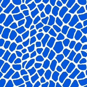 6x6 classic blue on white animal print