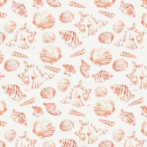 (M) Sea Shells in coral peach Medium scale