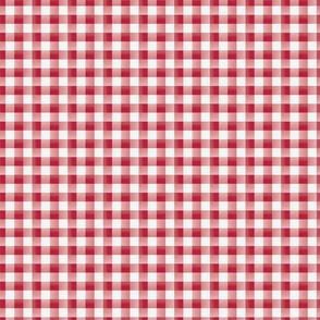 Weathered Red Gingham with Faux Textured Ground Small Scale