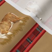 Custom English Bulldog with Red Plaid Stripe