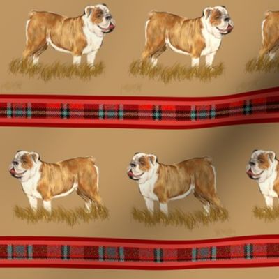 Custom English Bulldog with Red Plaid Stripe