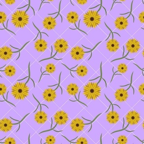 Purple Sunflower