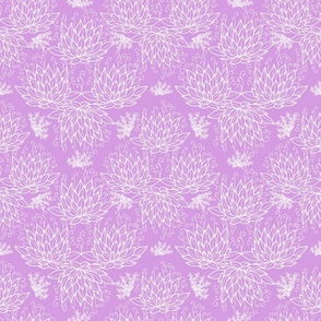 Geometric succulents in purple pink 