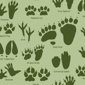 Large Scale - Animal Tracks in Forest Green for Kids Room 