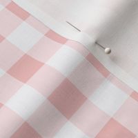 Medium Scale // Ballerina Pink Vintage Gingham Check  