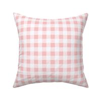 Medium Scale // Ballerina Pink Vintage Gingham Check  