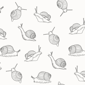 Large Scale - Simple Snails on a Nearly White Background 