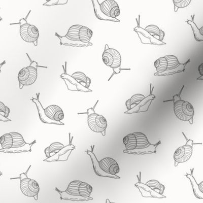 Small Scale - Simple Snails on a Nearly White Background 