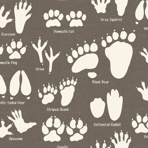 Large Scale - Animal Tracks in Earth Brown for Kids Room 