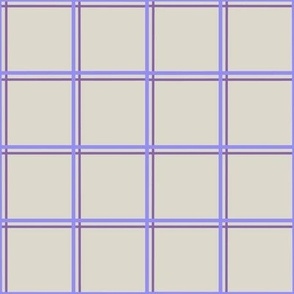 Double Squares (blue/purple)