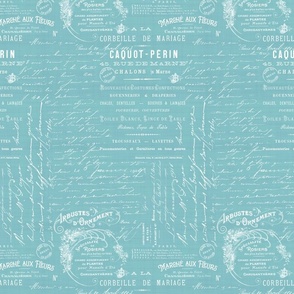 Simple Linen Texture Pattern Coordinate For Fleur de Lis Pattern French Script White On Teal Smaller Scale