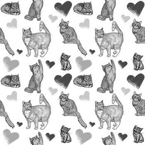 Cute Grey Cat Lovers Pattern