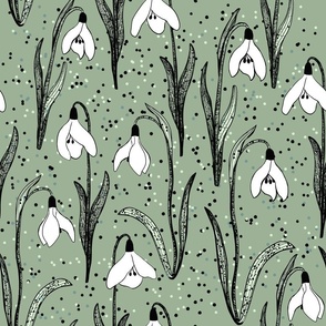 White Snowdrops  on dotted Sage Green 