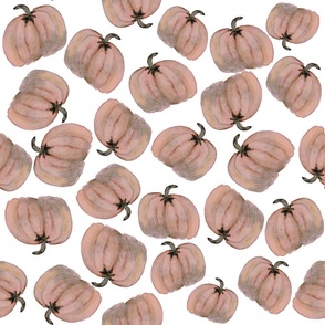 rose pink pumpkins / medium / retro vintage