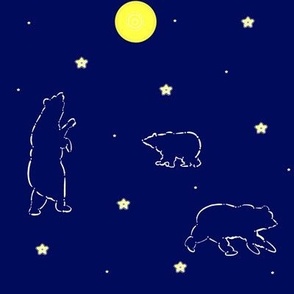 Bear constellations in the stars on navy blue