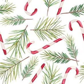 non-directional Christmas candy canes with pine branches