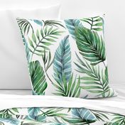 Monstera and Palm Watercolor Tropical Leaves