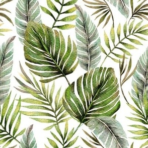 Monstera and Palm Watercolor Tropical Leaves