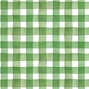 Rustic hand-painted watercolor gingham green