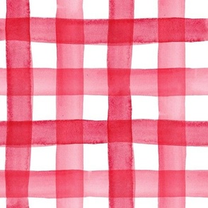 Rustic hand-painted watercolor gingham red